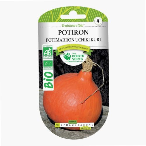 Les doigts verts Semillas de Calabaza potimarron Uchiki Kuri Bio Los Dedos Verdes