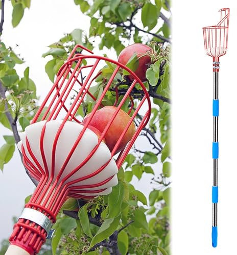 recoge fruta recogedor de frutas Palo recolector de frutas con cesta telescópica, 2 3 4 m de longitud, palo recolector de frutas para manzanas, peras, albaricoques, nectarinas, pomelos y caquis(4m/13.