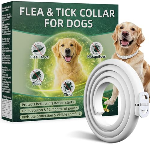 Collar Antiparasitario Perros, Protección Efectiva Collares Antiparasitarios para Perros, 100% Natural, Impermeable, Adjustable, Collar Antipulgas Perros para Pequeños, Medianos y Grandes,65 cm