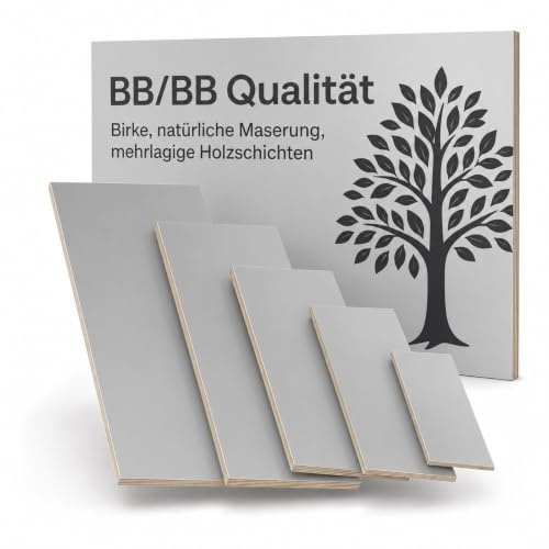 AUPROTEC 30x70 cm Multiplex Holzplatte aus Birke | grau | 18mm | Melaminbeschichtete Birke in BB/BB Qualität, robust und pflegeleicht. Ideal für Möbelbau, Werkstatt und DIY.