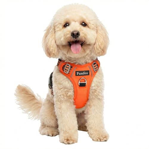 Funfox Hundegeschirr Kleine Hunde [S] - Anti Zug Welpengeschirr mit Griff & Ringreflektoren, Atmungsaktives Verstellbares No Pull Brustgeschirr für Kleine/Mittelgroße Hunde Outdoor Orange