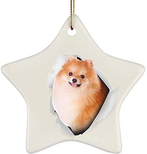 Weihnachten Ornamente Keramik Weihnachtsanhänger Mit Schnur Hängende Ornamente Geschenkanhänger Lustiger Deutscher Spitz Rot Kommt Aus Rissiger Wand