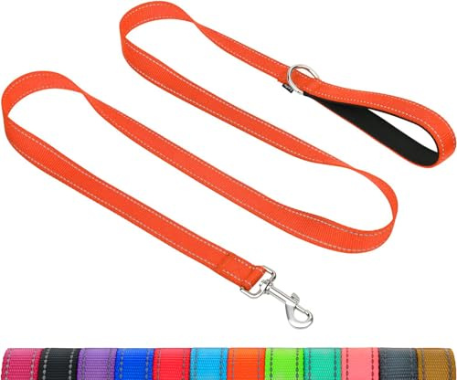 Taglory Reflekterande hundkoppel, vadderat handtag i neopren och metallkrok, 1,8 m x 2,0 cm, nylonkoppel för små hundar, orange