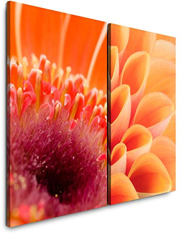 Paul Sinus Art Wandbild 2 teilig je 60x90cm Dahlie Blüten Orange Wärme Sanft Zart Makro