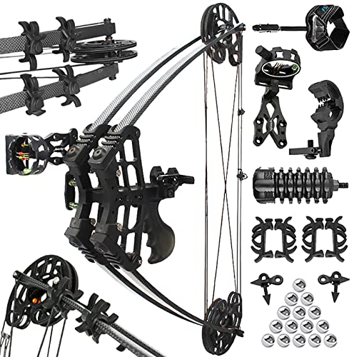 ZSHJGJR Bogenschießen Compound Bogen Set 45lbs Stahlkugel Compound Bogen und Pfeile Set Dual-Use Compound Bogen für Pfeile und Stahlkugeln Bogen für Erwachsene Jagdbogen Bogen Jagd (Schwarz - Set 1)