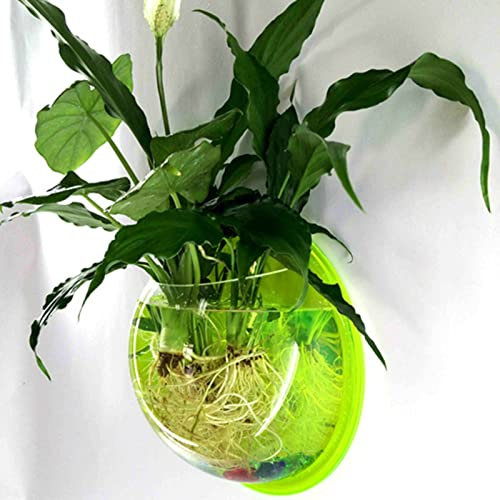 Kripyery 1 Set Wandbehang Fischschale, Wandmontierter Blumentopf, Wandbehang Fischtank, Fischtank-Schüssel-Dekorpflanze, Fisch-Pflanzentanks, hängende Fischschale Pflanzenvase für Pflanze Fisch
