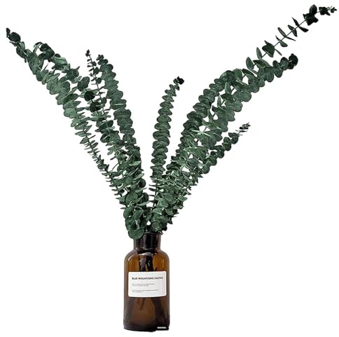 Vmiorzq 10 Stück Natürliche Getrocknete Eukalyptus, Getrockneter Eukalyptus Für Dusche, Kunstpflanzen Dekoration Eukalyptu, Deko Bund Für Wohlfühlambiente Zu Hause
