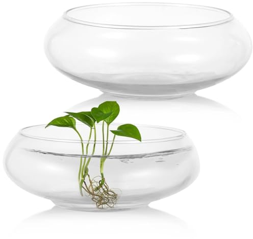 2 PCS Round Glass Vase Bowl, 6/ 8 Wide Mouth Round Glass Bowls, Succulent Planters, Fish Tank, Bubble Vases, Floral Decor Centerpieces, Flower Pots for Home Decoration (2PCS)