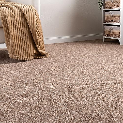 Steffensmeier Schlingen Teppichboden Meddon XL Meterware | Auslegware für Flur Büro | 1m 2m 3m 4m 5m breit! | Beige, Größe: 500x300 cm
