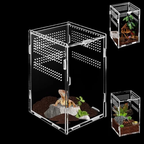 Terrario acrilico 10x10x10 cm, mini terrario adatto per lumache, rettili, ragni, lucertole, scarafaggi (20cm*12cm*12cm)