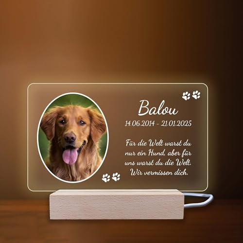 INDIGOS UG - LED Lampe personalisiert - Gedenktafel - quer, Bild oval - Haustier, Hund, Katze - Wunschbild, Wunschtext - personalisierte Lampe - Geschenk, Familie - optionale Lampe warmweiß