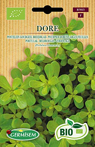 Germisem Biologico Dore Semi di Purslane 2 g