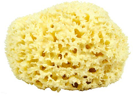 Sea Wool Sponge - All Natural Honeycomb Renewable Sea Sponge, Hand Cut, Jumbo, Approx. 7 Inches