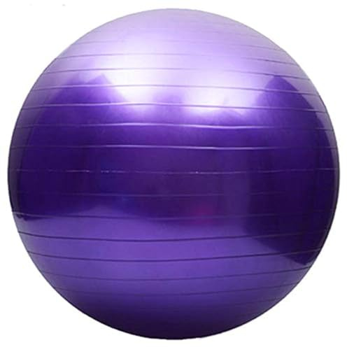 Fortitude Sports Exercise Ball With Pump | Yoga Swiss Ball For Fitness, Pilates, Home and Gym | Anti Burst, Anti Slip Balance Ball in 55, 65, 75cm Sizes (65cm, Purple)