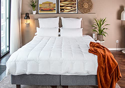 BEFA NATUR Daunendecke Sommer 240x220 cm | 90% Daunen & 10% Federn | 490g Füllgewicht | Allergiker geeignet (NOMITE) | Tierwohl Zertifiziert (DOWNPASS) | Oeko-TEX Klasse 1 | Made in Germany