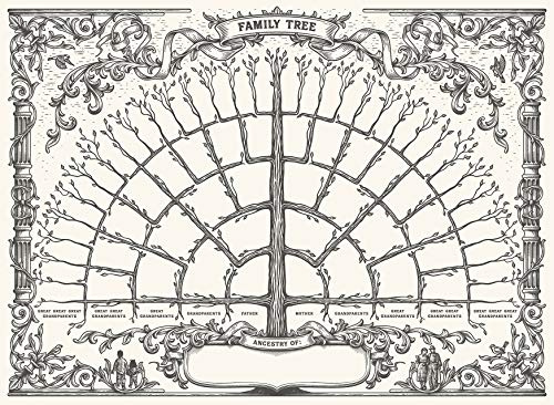 Palace Learning 1 Pack - Family Tree Chart To Fill In - 6 Generation Genealogy Poster - Blank Fillable Ancestry Chart [Version 1] - 18 x 24