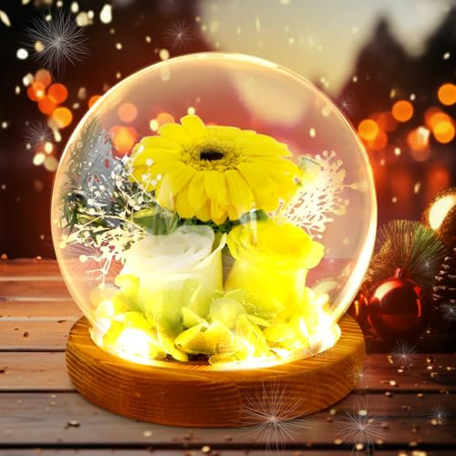 Rosa eterna en vaso con luz LED, girasol, flores conservadas, rosas infinitas como regalos para mujeres, rosas reales conservadas, regalos para esposa, mamá, esposa, Navidad, día de San Valentín,