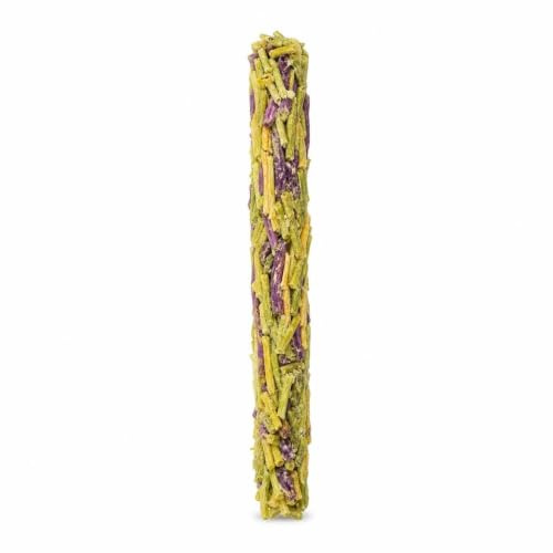 YWJLQH Bâtonnet Fruits et légumes pour Perroquet, Snack pour Oiseaux d'Ornement, pour Animaux, 10 grammes
