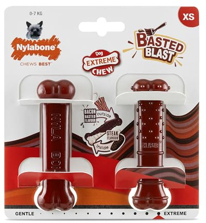 Nylabone, Basted Blast, Extrem starker Kauknochen, Hundespielzeug aus Nylon, Knochenform, Haltbarer Kauknochen, Geschmack: Speck und Steak, Extra klein, Für Hunde bis 7 kg, 2er Pack