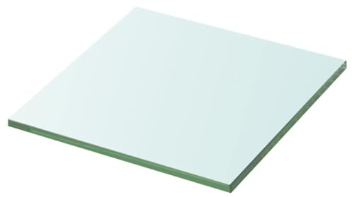 vidaXL Glasboden für Glasregal Transparent 20x20cm Glasscheibe Glasplatte