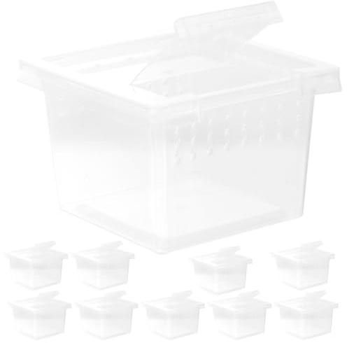 Didiseaon 10 Stück Reptilienbox aus Kunststoff Praktische und Leicht zu Reinigende Futterbox für Reptilien für Züchter und Terrarienhaltung