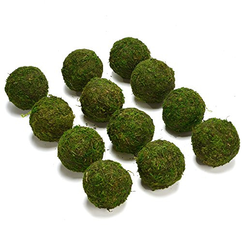 BYHER Natural Green Moss Decorative Ball,Handmade (2-Set of 12)