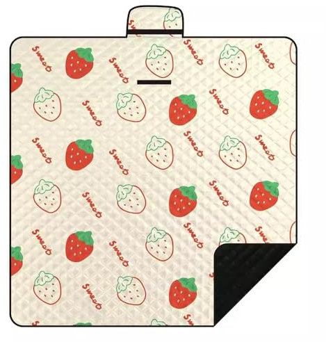 MXMZSRTH Picknickmatte Picknickmatte, Rasenmatte, Strandmatte, Camping, Outdoor, tragbare Bodenmatte(Style 4,2x2m)