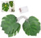 RYAN Monstera Feuille Guirlande Lumineuse Intérieur 3M avec 20 LED pour Terrasse Exterieur Décoration de Maison et Deco Jardin Exterieur pour Fête Plage Anniversaire