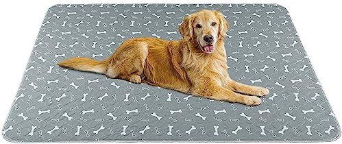 Baodan Waschbar Haustier-Urinunterlage, 2 Pack 120*90 cm Wiederverwendbare Welpenunterlagen Matte für Hunde, Schnell Absorbierend Puppy Pads für Hunde, Katzen, Meerschweinchen