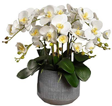 pflanzenständer, blumenstand, blumenstander Blumenregal pflanzenhocker pflanzentopf blumentopf hoch indoor holz seule Garten Blumentreppen Pflanzentreppe Ablagen deko gold metall weiß schwar