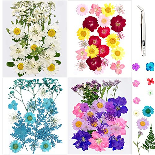 VEGCOO 110 Pièces Fleurs Séchées, Ensemble de Fleurs Séchées Naturelles Bricolage, Fleurs Naturelles Multicolores Pressées pour Bricolage Résine Bijoux Maquillage Habiller Nail Art Décorations