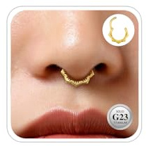 ESHIONER G23 Titan Conch Piercing Schmuck Helix Gold Silber Hoop Septum Rook Tragus Daith Piercing Hinged Segment Clicker 16G 8MM 10MM 12MM Nasenring Double Creolen Helix Knorpel Ohrringe für Damen