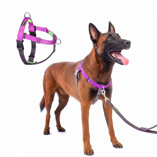 APDEXY Freedom No Pull Dog Harness, Purple, Medium/Large | Sewn-In Instructions Tags for Easy Use, Easy Walk with Front Clip, 2 Stainless D-Rings