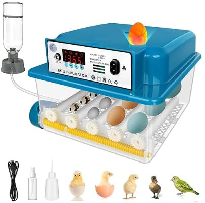 Brutautomat Vollautomatisch für 16 Eier mit Temperaturregelung automatischem Wenden, Inkubator Hühner mit verstellbaren Walzen und automatischer Wasserzugabe, Brutmaschine LED Eierleuchte