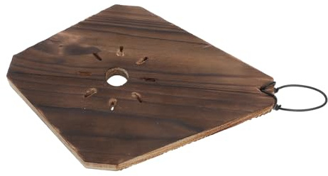 DOITOOL Planche Murale Bois pour Platycerium Fougère Suspendue et Légère Montage Simple pour Orchidées Succulentes et Plantes Grimpantes Intérieur
