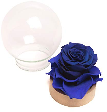 ROSEMARIE SCHULZ Heidelberg Infinity Rose im Glas die Schöne und das Biest echte langlebige Rose in Glaskugel (Large, Blau)