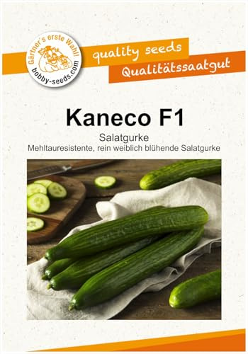 Gurkensamen Kaneco F1 Salatgurke Portion