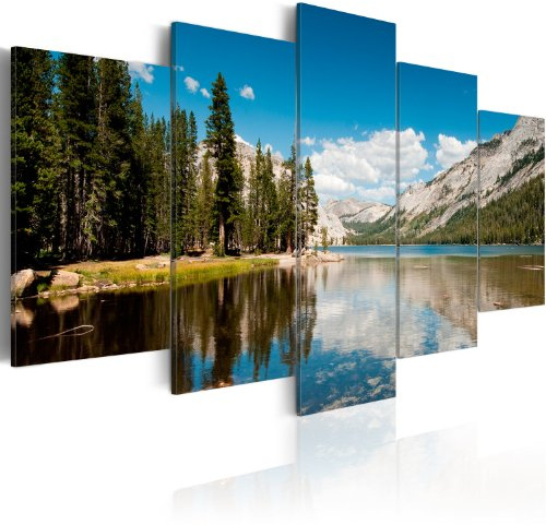 Cuadros B&D XXL - Cuadro Acústico Naturaleza 200x100 cm espuma acústica absorbe el sonido aislamiento lienzo de 5 piezas Impresión Artística Decoración de Pared Imagen Gráfica 030212-29
