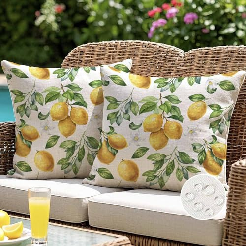 ViaElayu Outdoor Kissenbezug 50x50 cm Gelb Zitronen Kissenhüllen Outdoor Kissen Wetterfest Sofakissen Dekokissen Gartenkissen Couchkissen Frühling Sommer Deko für Wohnzimmer Bank Terrasse 2er Set
