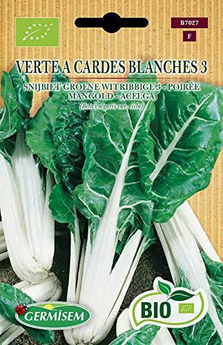 Germisem Orgánica Verte A Cardes Blanches 3 Semillas de Acelgas 3 g