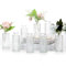 Mozvvco Mini Vasi in Vetro, Vaso Fiori Piccoli, Vasi Decorativi in Vetro, Piccoli Vasi Vasi da Tavolo, Vaso Fiori Vetro per Decorazione da Tavolo per Matrimoni
