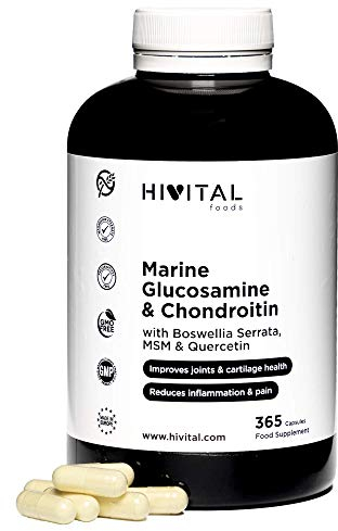 Glucosamin mit Chondroitin. 365 Kapseln für eine 4-monatige Behandlung. Mit 1500 mg Marine Glucosamin 2KCL, Marine Chondroitin, MSM, Boswellia Serrata und Quercetin. Hergestellt von HIVITAL