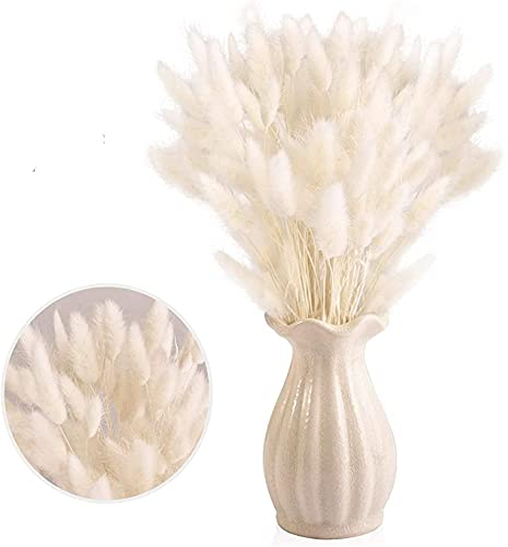 Piccola Erba Secca di Pampa,Coda di Coniglio Essiccata Mazzi di Erba 30 PCS Coda di Coniglio Pampa Erba Secca Naturale Fiore Artificiale per Matrimonio Decorazione D'interni Domestica Giardino Festa