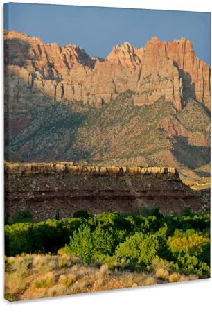 3dRose Flank of Kinesava above Rockville Basin, Zion NP, Utah. Museum Grade Canvas Wrap 11x14