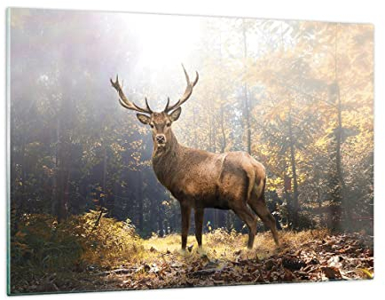 Quadri Moderni Soggiorno Luce cervo foresta Quadro su Vetro 120x80cm Stampe da Parete in Vetro Camera da Letto Cucina 1 pezzo Wall Art Grandi XXL Decorazione Murale Grafica Immagini GAA120x80-4452