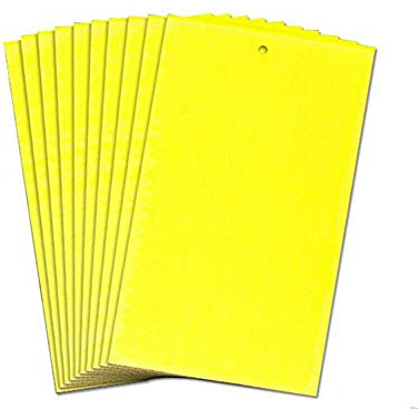 BE-TOOL Klibbiga insektsfällor, 1-pack 25 x 15 cm klibbiga flugfällor, gul, dubbelsidig, för alla flygande växthusskadedjur (10 st i ett paket)