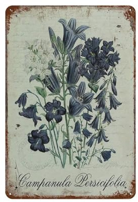Flower Art Painting Sign campanula Persicifolia Tin Sign Metal Plaque Art Hanging Iron Painting Retro Home Kitchen Garden Garage Wall Decor(15x30cm）6x12 inch-55