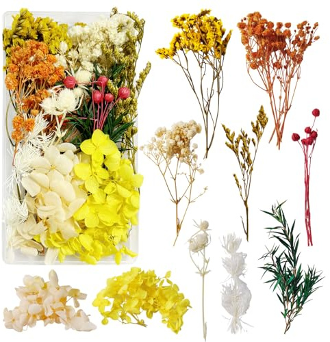Trockenblumen Trockenblumen zum Basteln Trockenblumen Klein Dried Flowers Trockenblumen Bunt Trockenblumen Deko Getrocknete Blumen in Schachteln für DIY Fotorahmen Dekoration Craft Dekoration (Gelb)