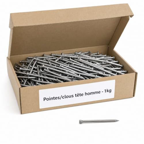 Pointes/clous tête homme - 1kg - 2x35