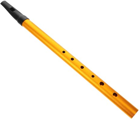 Alasum Irische Tin Whistle in C-dur für Anfänger mit 6 Loch Design aus Aluminiumlegierung Tragbar und Kinderfreundlich zum Üben Traditioneller Irischer Volksmusik